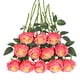 thumbnail image 1 of Tifuly 12 flores artificiales de rosa rosa, realista, ramo de rosas de seda falsas para bodas, fiestas, hogar, centro de mesa, hotel, oficina Tifuly NA, 1 of 6
