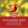 thumbnail image 5 of Audubon Park Safflower Seed Wild Bird Food, Dry, 1 Count per Pack, 5 lb. Bag, 5 of 10