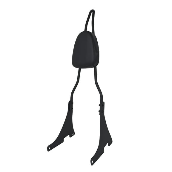 Detachable Passenger Backrest Sissy Bar For Harley Sportster XL 883 1200 04-2022