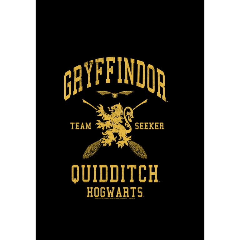 Boy s Harry Potter Gryffindor Quidditch Gold Team Seeker Pull Over Hoodie Black Large