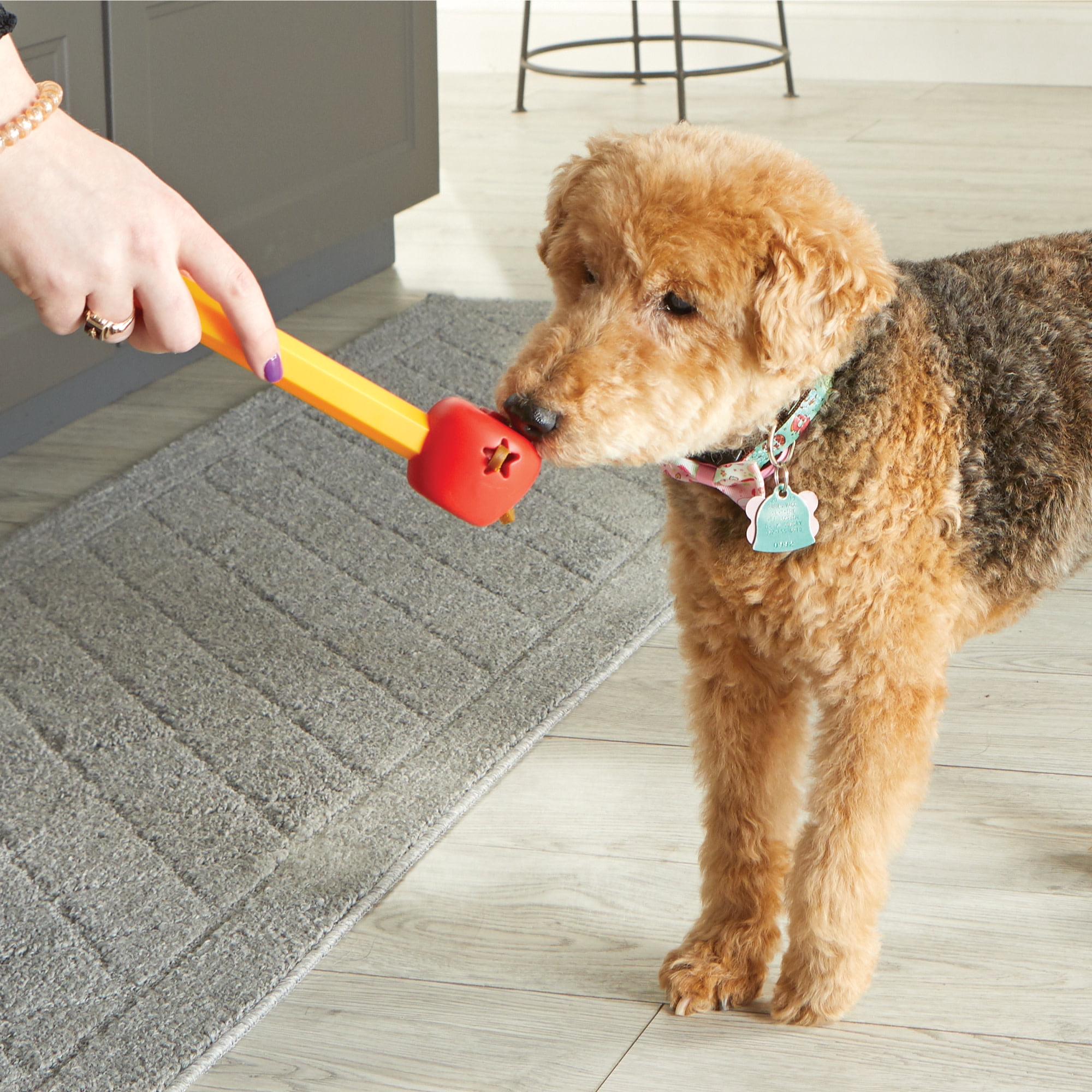 Brightkins Pooch School! Dog Training Set Dog Toy, Interactive Enrichment Games, 15-Pieces