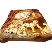 Fleece Blanket Queen Size Heavy Korean Mink Blanket Queen Size 1 Ply Soft And Warm And Mink Weighted Cozy The Best Winter Blanket Bed Home Gifts Walmart Canada