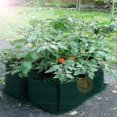 thumbnail image 5 of Raised Garden Planter Fabric Bed, 4 Divided Grids Durable Square Planting Grow Pot For Suitable For, 5 of 5