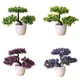 thumbnail image 3 of Gwong Decoración hogareña Árbol de plantas artificiales Bonsai Fake Potted Ornament Home Hotel Decoración de jardín Gwong 21006984, 3 of 6