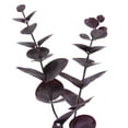 thumbnail image 2 of Vickerman 6' Artificial Burgundy Spiral Eucalyptus Garland, 2 of 5