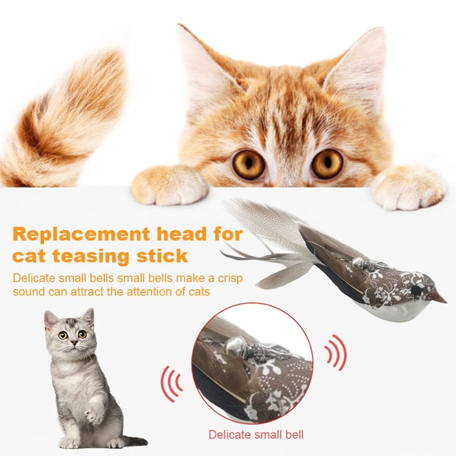 Juguete de plumas para mascotas, palo de gato, cabeza de repuesto, colgante de barra de gatito (curruca de cola larga) Wdftyju Libre de BPA