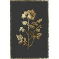 thumbnail image 3 of PI Collection 13x18 Black Modern Framed Museum Art Print Titled - Cut Leaved Phacelia, 3 of 5