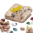 thumbnail image 2 of Children's Treasure Excavation Science Set of 15 Gems Science STEM Archaeological Biology Education, 2 of 5