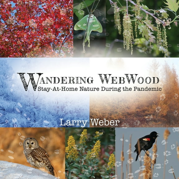 Wandering Webwood: Stay-At-Home Nature During the Pandemic, (Paperback)