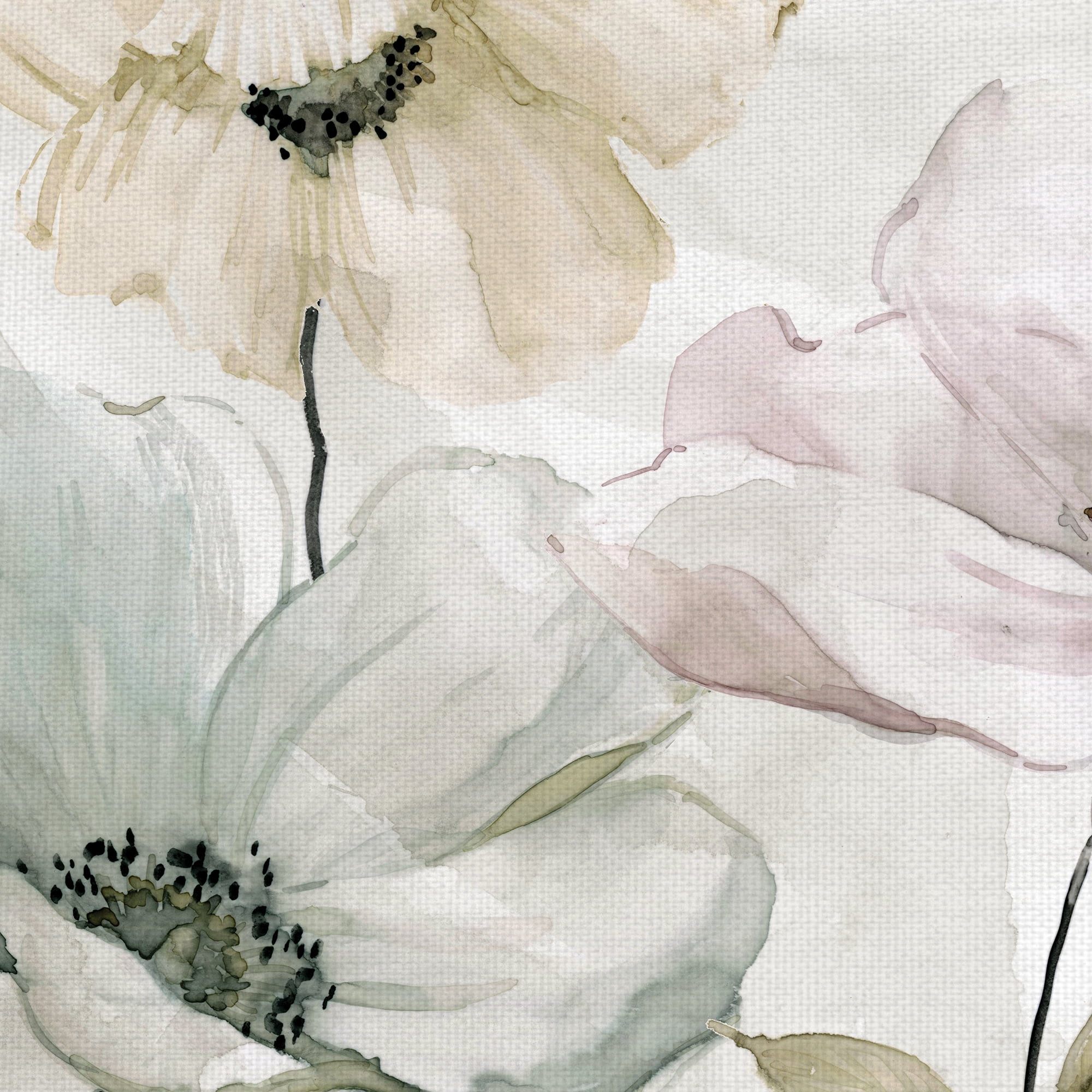 Fine Art Canvas Garden Grays Detail I Anemones by Carol Robinson Canvas Art Print