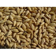 Barley 12 lbs, Unhulled Barley (Hull Intact), Joseph's Grainery Whole Grain Barley, Non-GMO, Kosher Certified