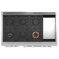 thumbnail image 5 of 48 Inch Smart Professional Dual Fuel Range with 6 Sealed Burners, Double Oven, 8.25 Cu. Ft., 5 of 5