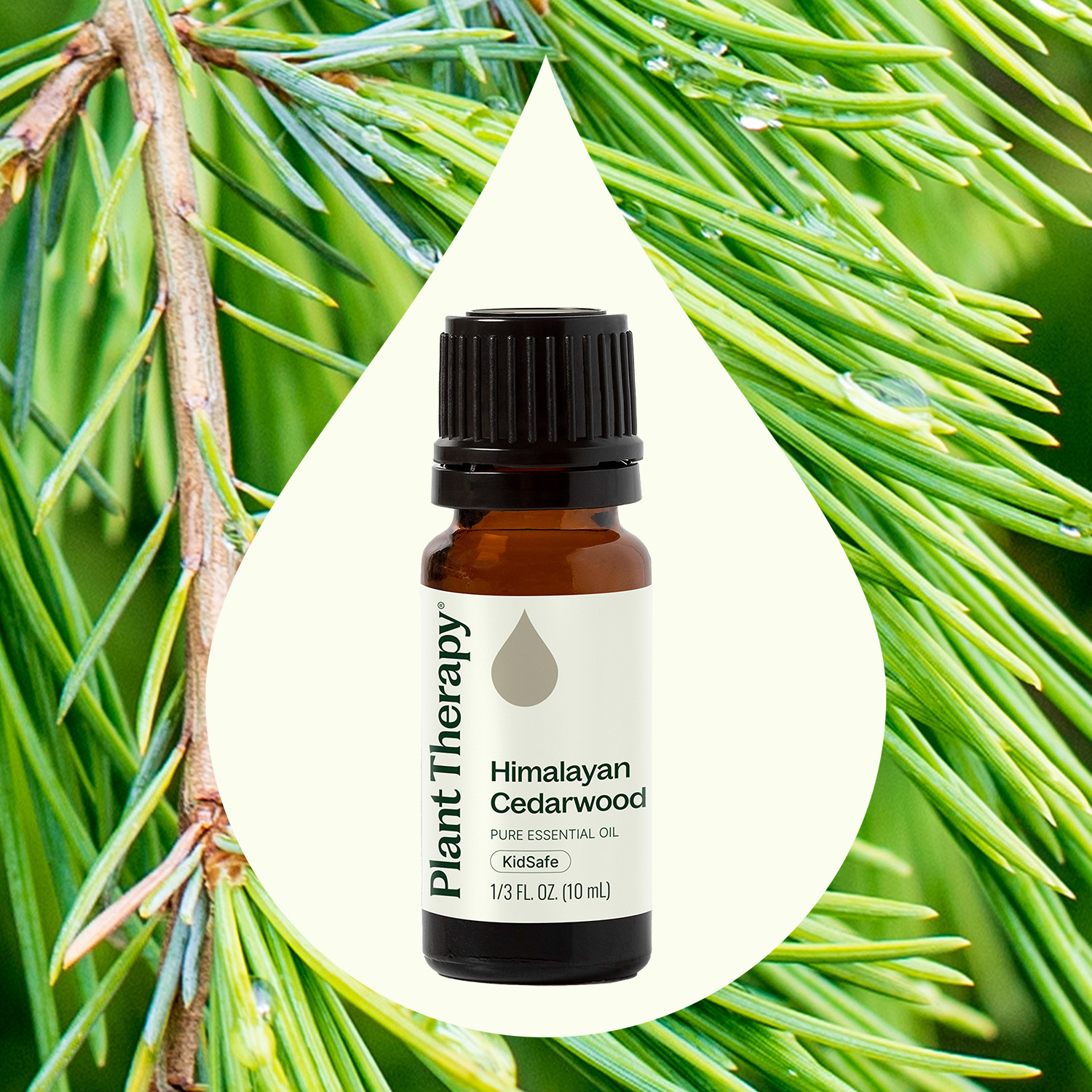 Plant Therapy Himalayan Cedarwood Essential Oil 10 mL (1/3 oz) 100% Pure, Undiluted, Therapeutic Grade