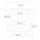 thumbnail image 1 of Etiqueta Engomada De La Arruga Tiras de levantamiento facial Almohadillas de silicona convenientes para la piel para el cuidado del cuerpo (F) Ndcxsfigh Cuidado Belleza, 1 of 5