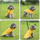 thumbnail image 4 of Chubasquero Dachshund, Chubasqueros Ajustables Para Perros Agua, 4 of 5