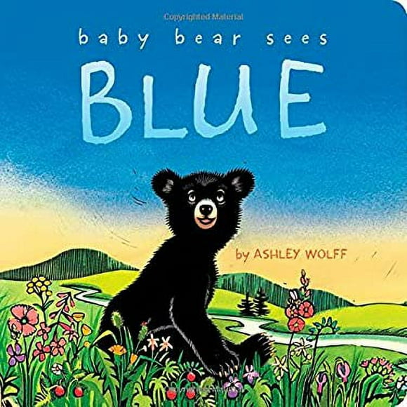 Pre-Owned Baby Bear Sees Blue 9781481415033