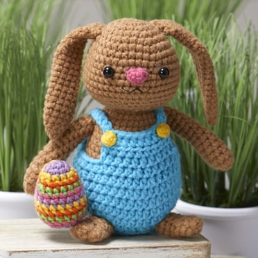 Hylvix Crochet Kit For Beginners Adults, 4 Pattern...