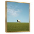 thumbnail image 2 of Designart "Sheep Minimalistic silence" Animals Floater Framed Canvas Print, 2 of 7