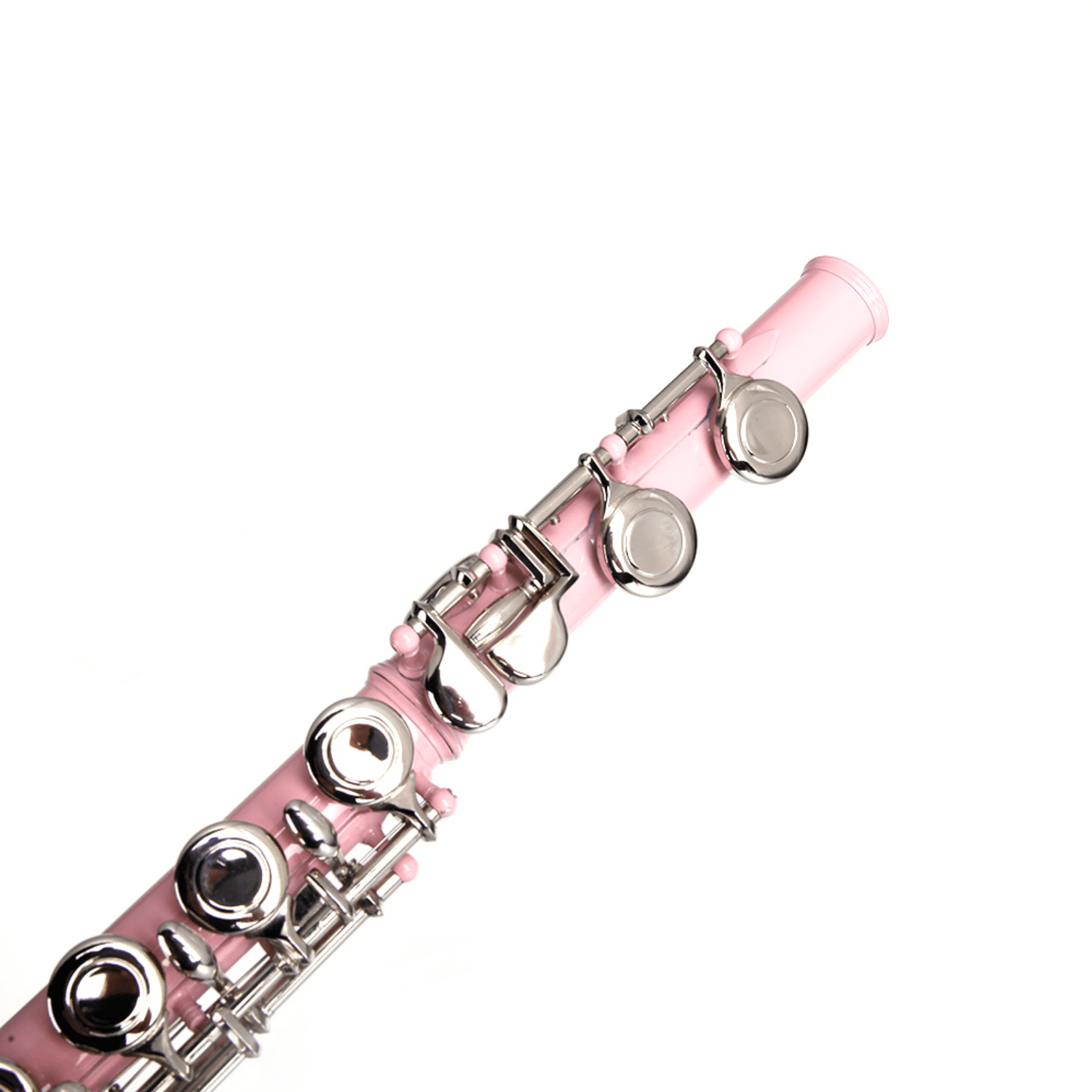 Hassch 16 Key Closed Hole C Flute with Case, Beginners Kit with Cloth, Screwdriver, Lubricant and Cleaning Rod for Learning, Pink