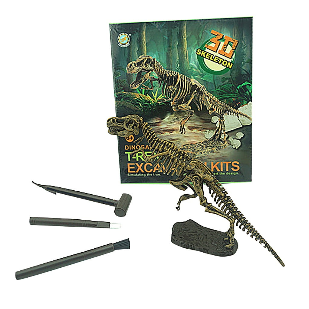 dinosaur fossil sandbox