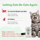 thumbnail image 4 of Suplemento Vetoquinol Viralys Lisine para gatos y gatitos 600 g, 4 of 7