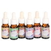 BSROLUNA Aromatherapy Essential Oils Diffuser Oil Gift Set Lavender, Vanilla, Strawberry, Sandalwood, Cherry, Coffee