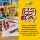 thumbnail image 5 of Crayola Colors of The World Markers 24 Count, Marcadores de tono de piel lavables, 24 Crayola 587802, 5 of 8