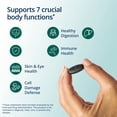 thumbnail image 3 of Metagenics PhytoMulti Multivitamin Without Iron-Daily Multi for Men & Women with 20+ Vitamins, Minerals & Phytonutrients for Antioxidant & Immune Support-Non-GMO, Gluten-Free - 30 Tablets, 3 of 8