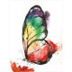 thumbnail image 1 of Taladro Pintura Diamante (DF3745) 5D DIY Completo Mariposa Punto de Cruz Craft Kit (w1432) 50x70cm Hugtrwg Para estrenar, 1 of 1