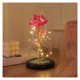 thumbnail image 1 of Flor de la inmortalidad con cubierta de vidrio y luces LED, flor de cristal eterna for siempre, rosa iluminada en cúpula de vidrio, 1 of 7