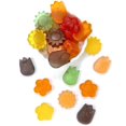 thumbnail image 2 of SweetGourmet Awesome Blossoms Spring Flower Gummy Candy | 4 Pounds, 2 of 6