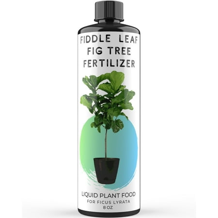 Fiddle Leaf Fig Tree Fertilizer | Ficus Lyrata Liquid Plant Food | Live Indoor Potted House and Office Plants Treatment Formula for Healthy Leaves Roots Branches | 8oz concentrate makes 6