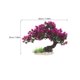 thumbnail image 2 of unbranded Árbol De Acuario Con Artificiales Para Decorar De Peces, 2 of 5