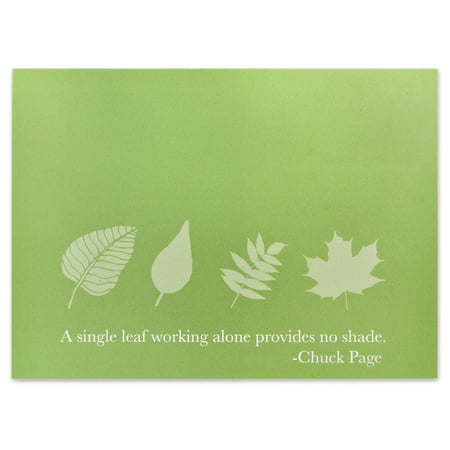 Pack Single Card - A Single Leaf Presentation Card - Pack of 25