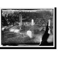 thumbnail image 2 of Historic Framed Print, Dog cemetery - Hartsdale, 17-7/8" x 21-7/8", 2 of 9