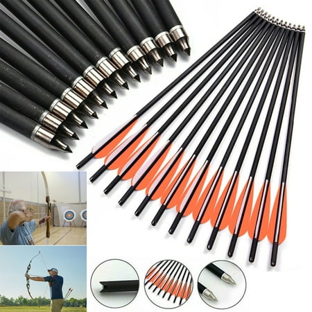 20 Inch Crossbow Bolts Arrows 12Pcs Hunting Practicing Crossbow Arrows with TPU Vanes Designed for Beginners and Youth Hunters
