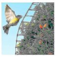 thumbnail image 4 of Anti-bird Netting Garden Netting Orchard Anti-bird Netting, 4 of 5