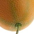 thumbnail image 4 of Frutas Artificiales Fruta Falsa Fiesta Decoración Artificial Realista Simulación Melón Amarillo Melón amarillo Magideal Frutas Artificiales, 4 of 7