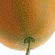 thumbnail image 4 of Fruta de Plástico, Juguetes para Alimentos, Accesorios para Tiendas de Comestibles, Tiendas de para Hoteles, Exhibición de Muestra, Accesorios Melón amarillo Macarena Frutas Artificiales, 4 of 8