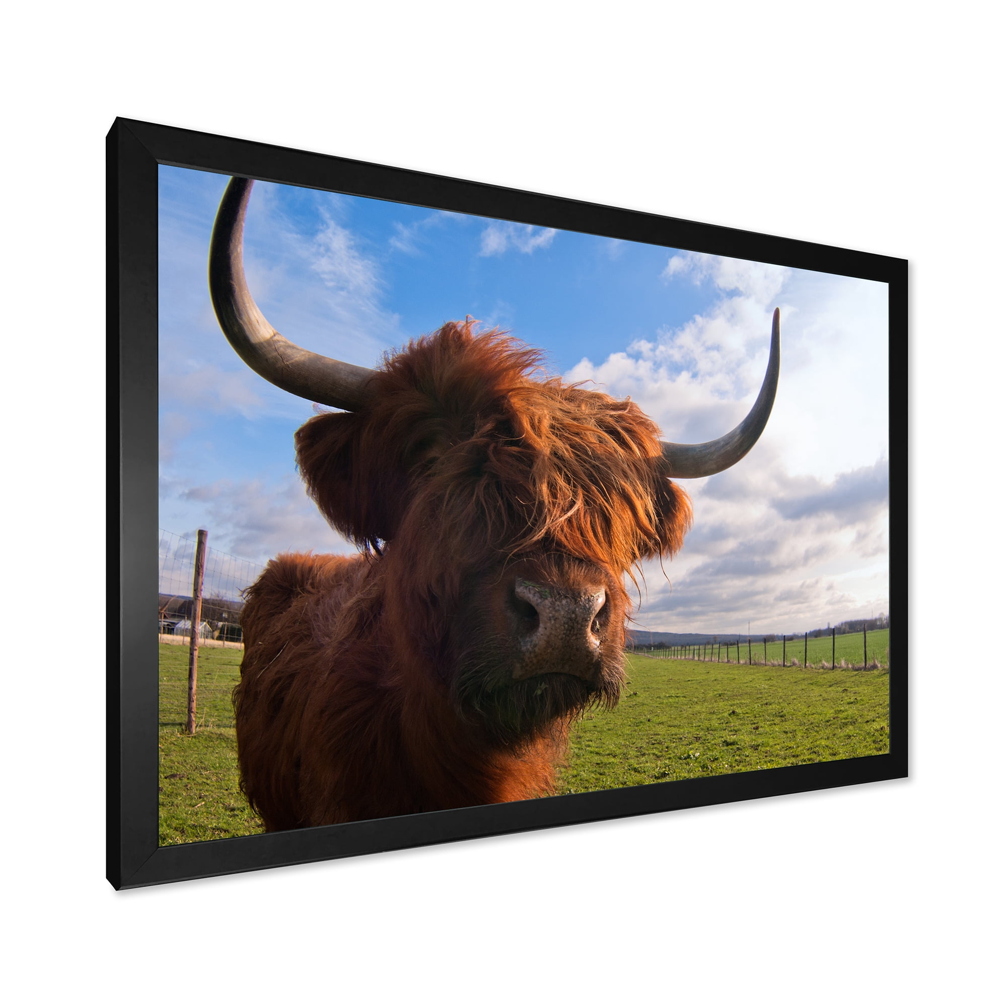 Designart 'Close Up Portrait Of A Yak' Farmhouse Framed Art Print