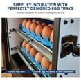 thumbnail image 7 of Universal Chicken Egg Trays (6 pack), 7 of 7