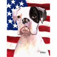 thumbnail image 1 of Carolines Treasures RDR3001GF Cooper USA American Flag Boxer Flag Garden Size, 1 of 3
