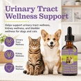 thumbnail image 3 of POLHIDE Urinary Tract Supplement Drops for Dogs & Cats, Core Urinary Support Blend with Cranberry Extract, D-Mannose & L-Theanine, Meat Flavor, 2.1 fl oz / 60 mL, 3 of 8