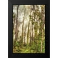 thumbnail image 2 of Poinski, Dianne 11x14 Black Modern Framed Museum Art Print Titled - Presidio I, 2 of 5