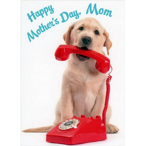 RSVP Dog Holds Red Phone Cute Funny Mother's Day Card for Mom