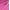 Fuschia, variant on Portland Boot Company Women's Metallic Puffer Cozy Booties, Sizes 6-11