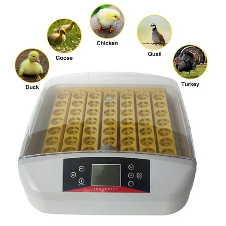 INTBUYING 56 Eggs Auto Egg Incubator Poultry Bird Hatcher with Egg Turning White