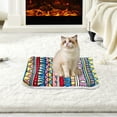 thumbnail image 4 of Warm Plush Dog Bed Mat & Kennel Pad, Reversible Soft Fleece Pet Blanket for Small Medium Dogs, Cozy Winter Crate Mat Machine Washable, 21.6" x 16.5", 4 of 5