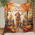 thumbnail image 3 of Happy Thanksgiving Vizsla Give Thanks Fall Beanie Scarf Welcome Quilt Blanket Vizslas Dog Lover Gifts Idea Cozy Comforter Throw Blanket - 00020, 3 of 5