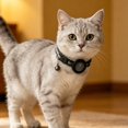 thumbnail image 4 of 2026 New Anti-Lost Locator Kit with Tracking Ball and Collar, Reusable Finder for Car and Pet, No App Needed, 4 of 5